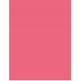 Shiseido ColorGel Lip Balm      104 Hibiscus 2g(Lipstick) Per Donna