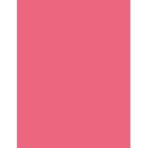 Shiseido ColorGel Lip Balm      104 Hibiscus 2g(Lipstick) Per Donna