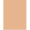 Clarins Everlasting Foundation   30Ml 110N Honey   Per Donna (Makeup)