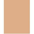 Shiseido Synchro Skin      9G Per Donna (Makeup) Self-Refreshing Cushion Compact