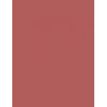 Bourjois Paris Fabuleux      3,5Ml Per Donna (Lipstick) Ink