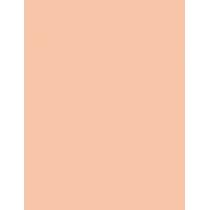 Shiseido Future Solution Lx Total Radiance Foundation  30Ml N2 Neutral  Spf15 Per Donna (Makeup)