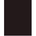 Inebrya Bionic Color      3/0 Dark Chestnut 100ml(Hair Color) Unisex