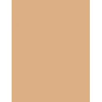 Loreal Paris Infaillible      9G Per Donna (Makeup) 24H Fresh Wear Foundation In A Powder