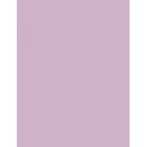 Sally Hansen Color Foil 10Ml    (Nail Polish) Per Donna  110 Fuchsia-Ristic