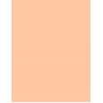 Estée Lauder Double Wear Maximum Cover  30Ml 1N1 Ivory Nude  Spf15 Per Donna (Makeup)