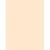 Loreal Paris True Match      11Ml Per Donna (Corrector) Radiant Serum Concealer