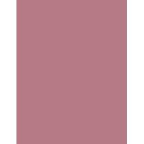 Shiseido ColorGel Lip Balm      108 Lotus 2g(Lipstick) Per Donna