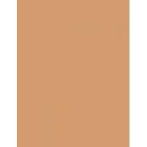 Clinique Beyond Perfecting Powder Foundation + Concealer  14,5G 14 Vanilla   Per Donna (Makeup)