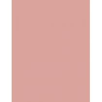 Clinique Blushing Blush   6G 101 Aglow   Per Donna (Blush)