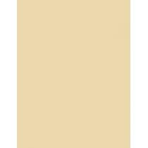 Sally Hansen Color Foil 10Ml    (Nail Polish) Per Donna  140 Gold Standard