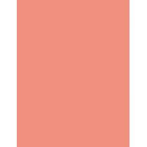 Benefit Shellie Blush 6G  Per Donna  (Blush)  Warm Seashell-Pink