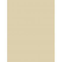 Artdeco Perfect Stick   4G 6 Neutralizing Green   Per Donna (Correttore)