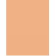 Clarins Lip Perfector      22 Peach Glow 12ml(Lip Gloss) Per Donna