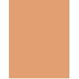 Shiseido Synchro Skin Self-Refreshing  SPF30   410 Sunstone 30ml(Makeup) Per Donna