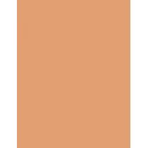 Shiseido Synchro Skin Self-Refreshing  SPF30   410 Sunstone 30ml(Makeup) Per Donna