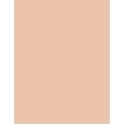 Artdeco Fluid Camouflage Foundation      Neutral 08 Cashmere 20ml(Makeup) Per Donna