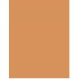 Shiseido Synchro Skin Self-Refreshing     401 Tan 5,8ml(Corrector) Per Donna