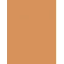 Shiseido Synchro Skin Self-Refreshing     401 Tan 5,8ml(Corrector) Per Donna