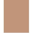 Shiseido Sun Protection Tanning Compact Foundation  SPF10   Bronze 12g(Makeup) Per Donna