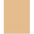 Shiseido Revitalessence  Spf30    30Ml Per Donna (Makeup) Skin Glow Foundation