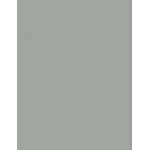 Sally Hansen Insta-Dri 9,17Ml    (Nail Polish) Per Donna  523 Thyme Is Money