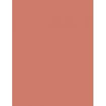 Nyx Professional Makeup Line Loud 1,2G    (Lip Pencil) Per Donna  04 Born To Hustle