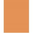 Lancaster Infinite Bronze  Spf30    50Ml Per Donna (Makeup) Tinted Protection