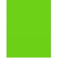 Dermacol Neon   5Ml 39 Neon Verde   Per Donna (Smalto Per Unghie)