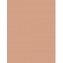 Artdeco Perfect Stick   4G 1 Velvet Rose   Per Donna (Correttore)