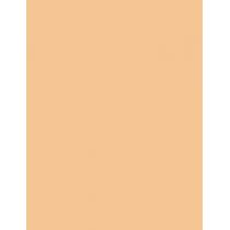 Rimmel London Match Perfection Spf20  30Ml 102 Light Nude   Per Donna (Makeup)