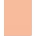 Artdeco Fluid Camouflage Foundation      Neutral 15 Natural Sand 20ml(Makeup) Per Donna