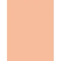 Artdeco Fluid Camouflage Foundation      Neutral 15 Natural Sand 20ml(Makeup) Per Donna