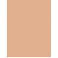 Wet N Wild Megalast Incognito All-Day Full Coverage Concealer 5,5Ml  Per Donna  (Corrector)  Medium Neutral