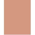 Shiseido UV Protective Compact Foundation  SPF30   Dark Beige 12g(Makeup) Per Donna