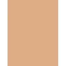 Bourjois Paris Always Fabulous 24H  30Ml 420 Light Sand  Spf20 Per Donna (Makeup)