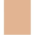 Clinique Moisture Surge  Spf25    40Ml Per Donna (Bb Cream) Sheertint Hydrator