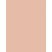 Dermacol Hyaluron      25G Per Donna (Makeup) Make-Up & Serum