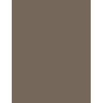 Rimmel London Brow This Way Professional Pencil  1,4G 005 Ash Brown   Per Donna (Matita Per Gli Occhi)