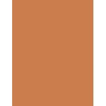 Rimmel London Wonder'Last      1,64G Per Donna (Eye Shadow) Shadow Stick