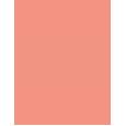 Artdeco Blusher   5G 07 Salmon Blush   Per Donna (Blush)