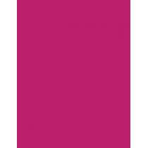 Sally Hansen Miracle Gel   14,7Ml 256 Proper P-Rose   Per Donna (Smalto Per Unghie)