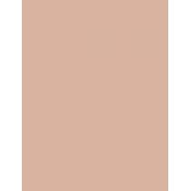 Dr. Hauschka Coverstick   2G 01 Natural   Per Donna (Correttore)