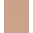 Shiseido Synchro Skin Self-Refreshing  30Ml 250 Sand  Spf30 Per Donna (Makeup)
