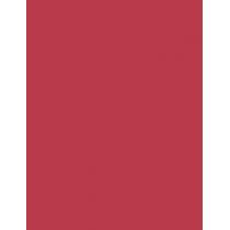 Nyx Professional Makeup Line Loud 1,2G    (Lip Pencil) Per Donna  12 On A Mission