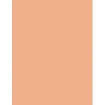 Rimmel London Hide The Blemish   4,5G 105 Golden Beige   Per Donna (Correttore)