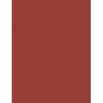 Nyx Professional Makeup Duck Plump 0,33G Plumping Lip Liner   (Lip Pencil) Per Donna  07 Swollen Spice