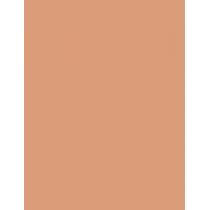 Essence Camouflage+ Matt  5Ml 40 Medium Fawn   Per Donna (Correttore)