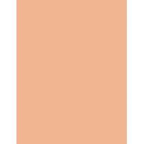 Shiseido Future Solution Lx Total Radiance Foundation  30Ml N3 Neutral  Spf15 Per Donna (Makeup)