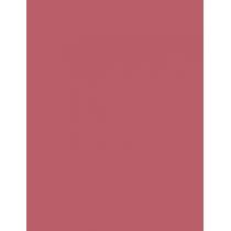 Max Factor Lipfinity 24Hrs  4,2G 001 Pearly Nude   Per Donna (Rossetto)